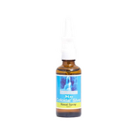 My Colloidal Silver 50ml Nasal Spray