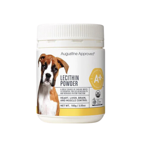 Lecithin Powder (dual certified organic) - 100g