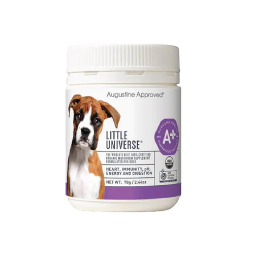 Little Universe (Organic Mushroom Supplement) - 70g EXP FEB 26