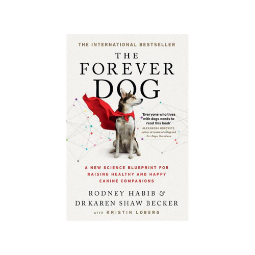 The Forever Dog