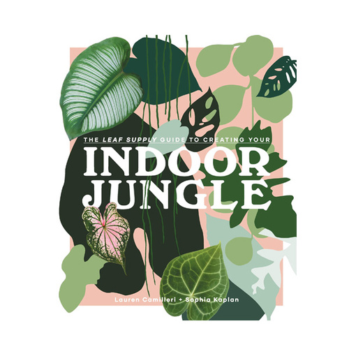 Indoor Jungle: The Leaf Supply Guide to Creating Your Indoor Jungle