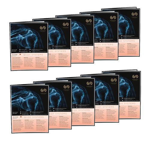 Symphony of the Cells Body Systems Chart - 10 Pack