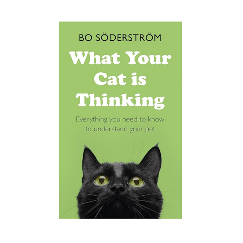 What Your Cat Is Thinking - Everything You Need to Know to Understand Your Pet