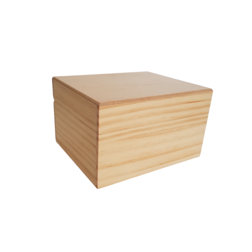 Essential Oil Box - 20 Bottles Pine