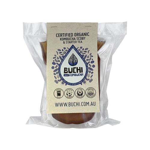 Buchi Kombucha Scoby