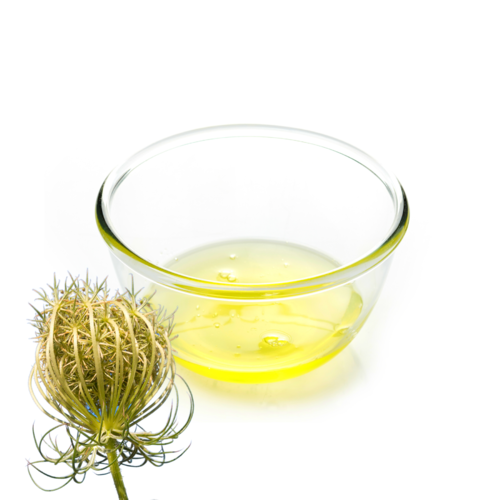 Carrot Seed Essential Oil - 10ml - BEST BEFORE 12/23