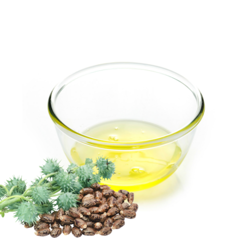 Castor Oil - Certified Organic, Cold Pressed & Hexane Free