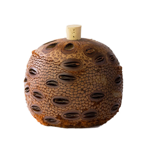 Banksia Aroma Pod - Medium