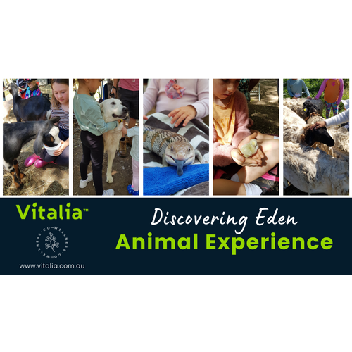 Discovering Eden Animal Experience - Monday 4th July 9:30am