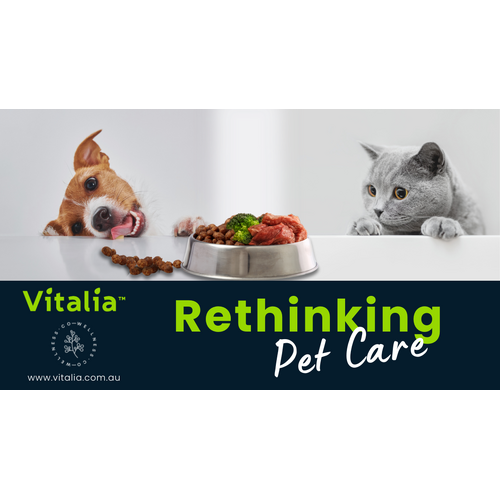 Rethinking Pet Care - Weds 6th August 6pm