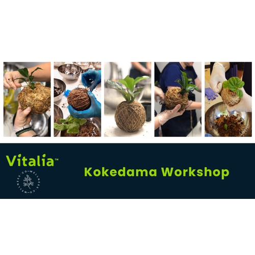 Kokedama Workshop - Weds 14th May 10am