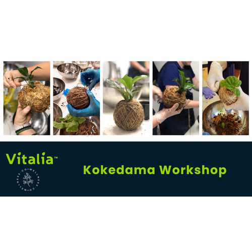 Kokedama Workshop - Sat 9th July 10am