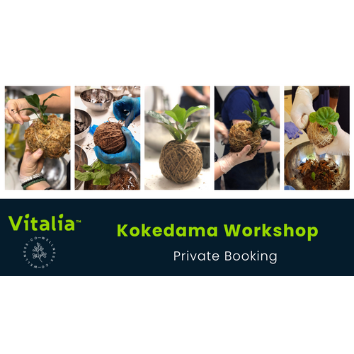 Kokedama Workshop - Group Booking for 6 people
