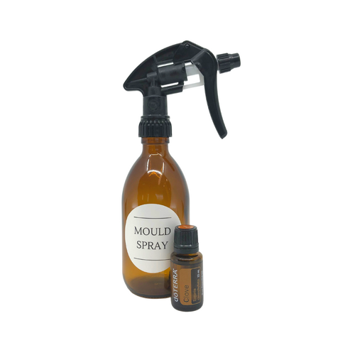 Mould Spray Kit