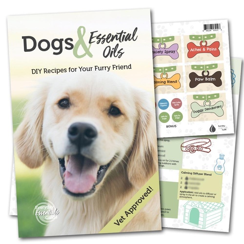Make and Take for Dogs