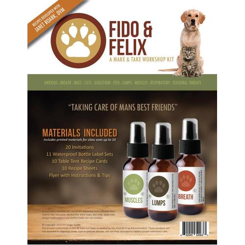Fido and Felix Make & Take Workshop Kit