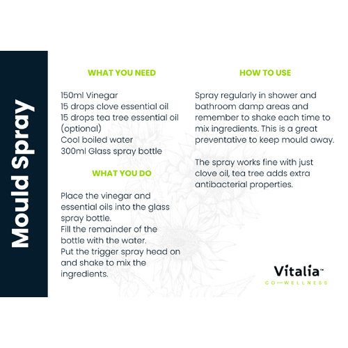Recipe Card - Mould Spray