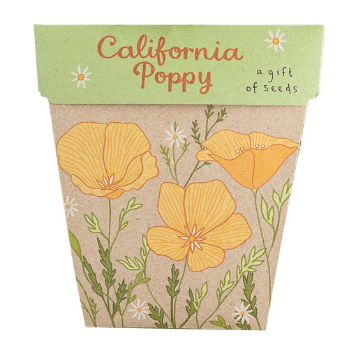 Gift of Seeds - California Poppy