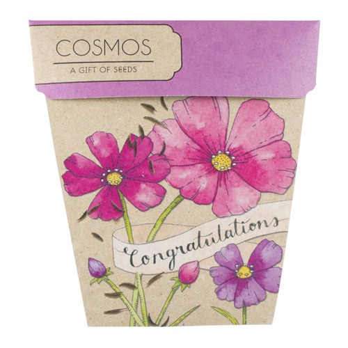 Gift of Seeds - Congratulations Cosmos