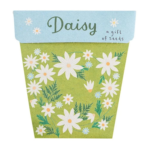 Gift of Seeds - Daisy Seed