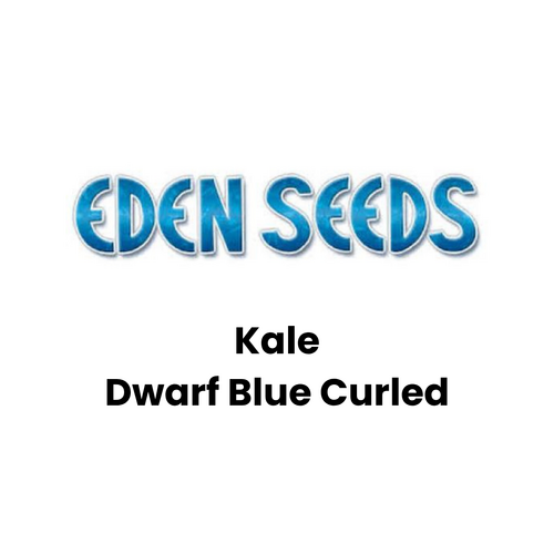 Eden Seeds - Kale Dwarf Blue Curled (Not shipped to W.A.)