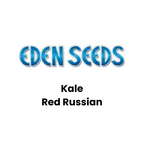 Eden Seeds - Kale Red Russian (Not shipped to W.A.)