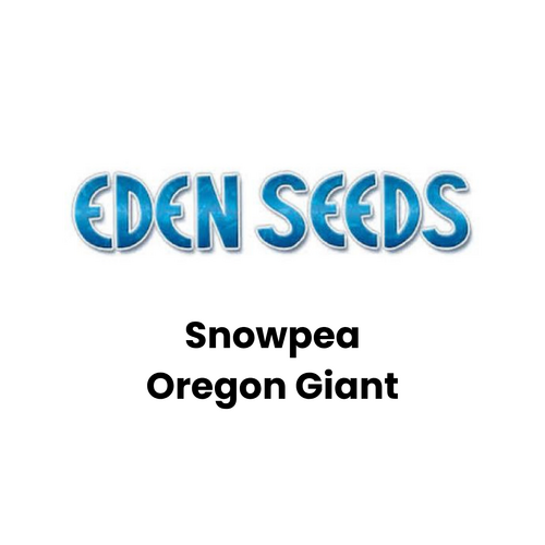 Eden Seeds - Snowpea - Oregon Giant (Not shipped to W.A.)
