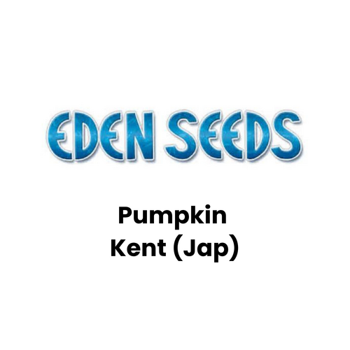 Eden Seeds - Pumpkin Kent (Jap) (Not shipped to W.A.)