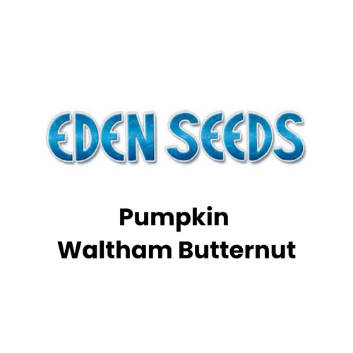 Eden Seeds - Pumpkin Waltham Butternut (Not shipped to W.A.)