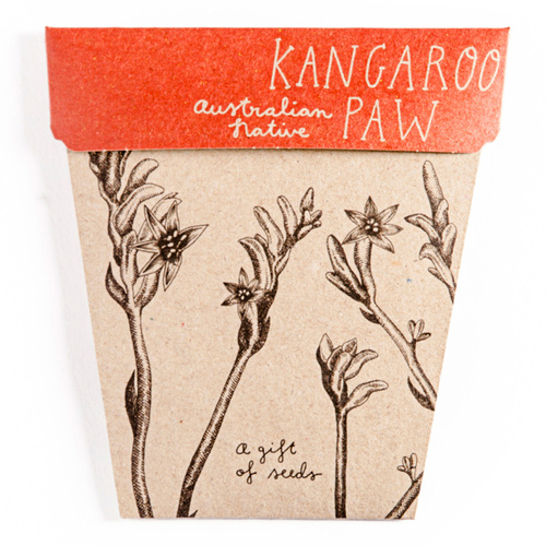 Gift of Seeds - Kangaroo Paw