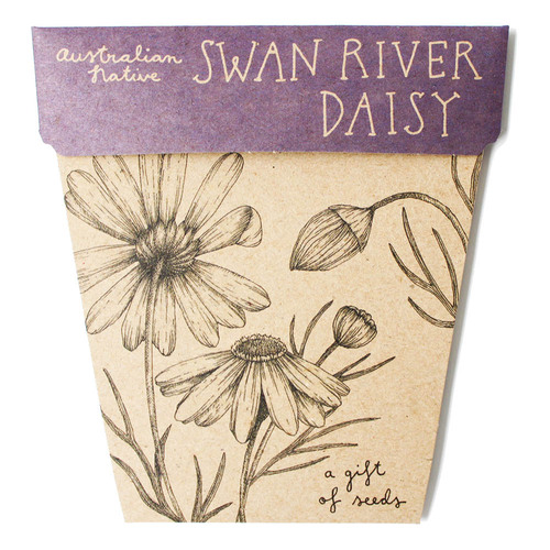 Gift of Seeds - River Daisy