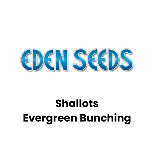 Eden Seeds - Shallots Evergreen Bunching (Shallots) (Not shipped to W.A.)