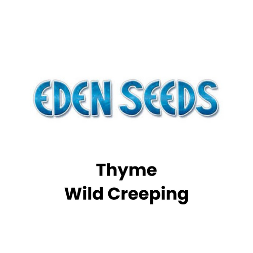 Eden Seeds - Thyme Wild Creeping (Not shipped to W.A.)
