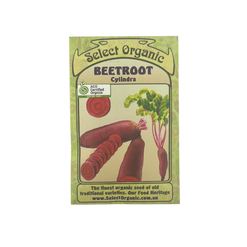 Select Organic Seeds - Beetroot Cylindra (Not shipped to W.A.)