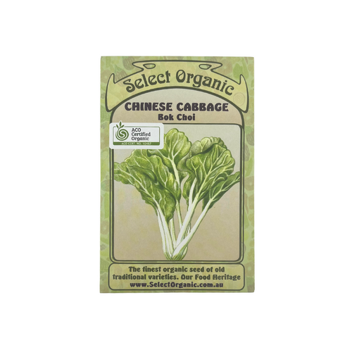 Select Organic Seeds - Chinese Cabbage Bok Choy (Not shipped to W.A.)