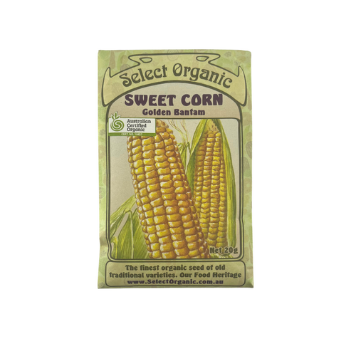 Select Organic Seeds - Sweet Corn Golden Bantam (Not shipped to W.A. or TAS)