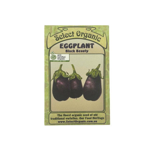 Select Organic Seeds - Eggplant Black Beauty (Not shipped to W.A.)