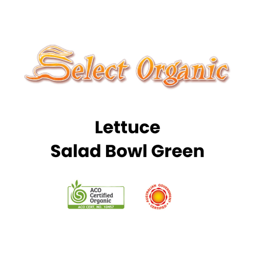 Eden Seeds - Lettuce Salad Bowl Green (Not shipped to W.A.)