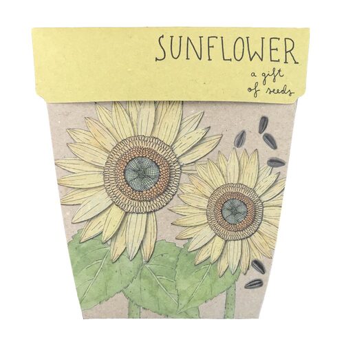 Gift of Seeds - Sunflower