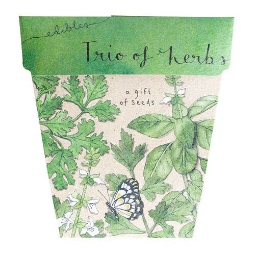 Gift of Seeds - Trio of Herbs