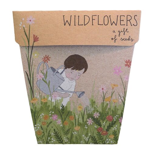 Gift of Seeds - Wildflowers