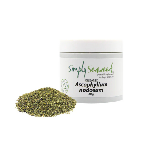 Simply Seaweed Dental Supplement for Dogs & Cats - 40g